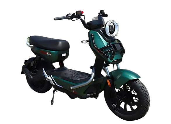 Xe Đap Điện X 51