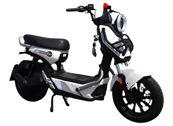 Xe Đap Điện X 51