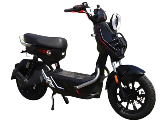 Xe Đap Điện X 51